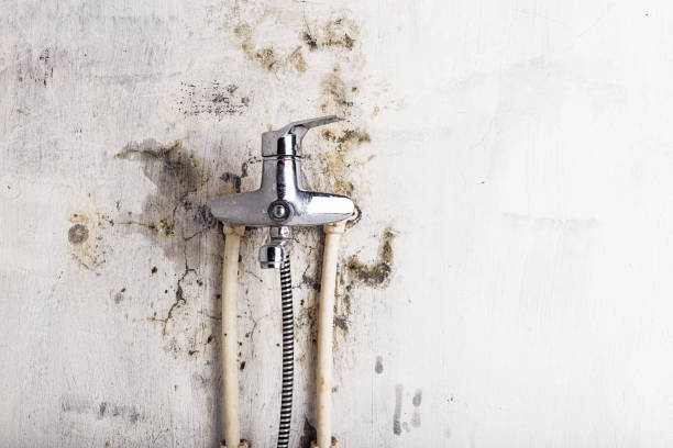 Mold Testing and Removal in Tallmadge, OH