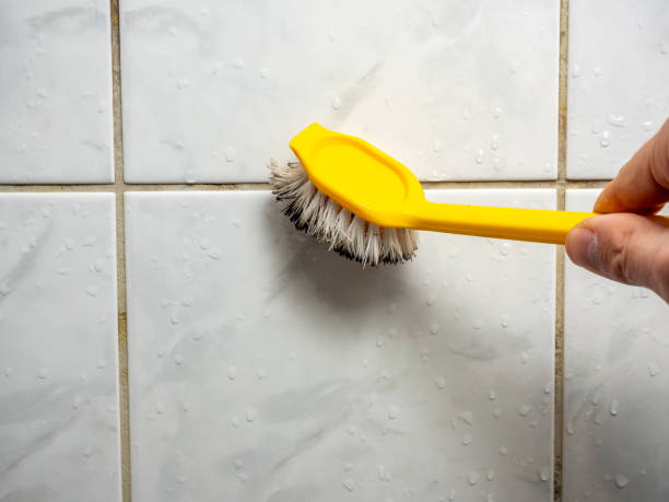 Trusted Tallmadge, OH Mold Removal Experts